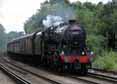 Photograph of 8F - 48151 8F at Virginia Water on 19/06/11