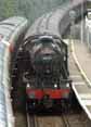 Photograph of 8F - 48151 8F at Virginia Water on 19/06/11