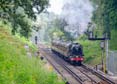 Photograph of BAHAMAS - 45596 BAHAMAS at Virginia Water on 05/08/21