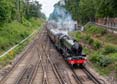 Photograph of BAHAMAS - 45596 BAHAMAS at Virginia Water on 05/08/21