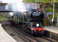 Photograph of BRAUNTON - 34046 BRAUNTON at Virginia Water on 26/04/14