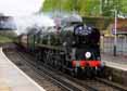 Photograph of BRAUNTON - 34046 BRAUNTON at Virginia Water on 26/04/14