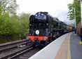 Photograph of BRAUNTON - 34046 BRAUNTON at Virginia Water on 26/04/14