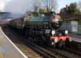 Photograph of MAYFLOWER - 61306 MAYFLOWER at Virginia Water on 14/02/15