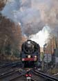 Photograph of OLIVER CROMWELL - 70013 OLIVER CROMWELL at Virginia Water on 14/12/17