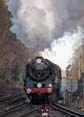 Photograph of OLIVER CROMWELL - 70013 OLIVER CROMWELL at Virginia Water on 14/12/17