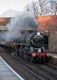 Photograph of OLIVER CROMWELL - 70013 OLIVER CROMWELL at Virginia Water on 14/12/17