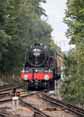 Photograph of ROYAL SCOT - 46100 ROYAL SCOT at Virginia Water on 23/09/17