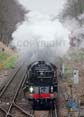 Photograph of TORNADO - 60163 TORNADO at Virginia Water on 07/04/18