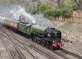 Photograph of TORNADO - 60163 TORNADO at Virginia Water on 07/04/18