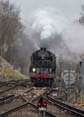 Photograph of TORNADO - 60163 TORNADO at Virginia Water on 07/04/18