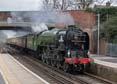 Photograph of TORNADO - 60163 TORNADO at Virginia Water on 07/04/18