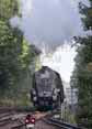 Photograph of UNION OF SOUTH AFRICA - 60009 UNION OF SOUTH AFRICA at Virginia Water on 06/09/17