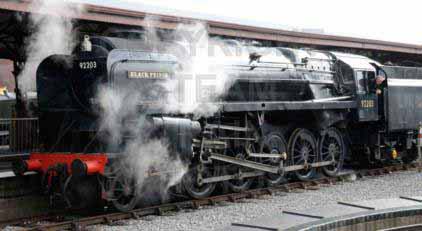 Purchase posters of 92203 BLACK PRINCE
