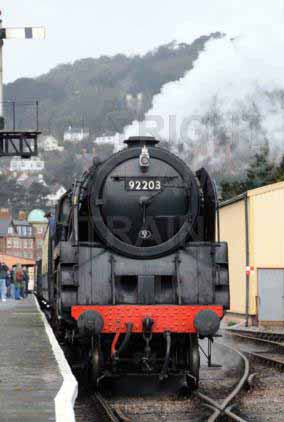 Purchase posters of 92203 BLACK PRINCE