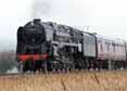 Photograph of 9F - 92212 9F at West Somerset Railway on 20/03/10