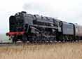 Photograph of 9F - 92212 9F at West Somerset Railway on 20/03/10