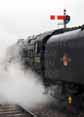 Photograph of 9F - 92212 9F at West Somerset Railway on 20/03/10