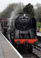 Photograph of 9F - 92212 9F at West Somerset Railway on 20/03/10