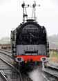 Photograph of DUKE OF GLOUCESTER - 71000 DUKE OF GLOUCESTER at West Somerset Railway on 20/03/10