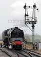Photograph of DUKE OF GLOUCESTER - 71000 DUKE OF GLOUCESTER at West Somerset Railway on 20/03/10