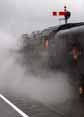 Photograph of 9F - 92212 9F at West Somerset Railway on 20/03/10