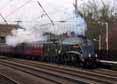 Photograph of UNION OF SOUTH AFRICA - 60009 UNION OF SOUTH AFRICA at Welham Green on 23/11/13