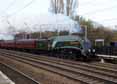 Photograph of UNION OF SOUTH AFRICA - 60009 UNION OF SOUTH AFRICA at Welham Green on 23/11/13