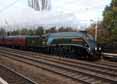 Photograph of UNION OF SOUTH AFRICA - 60009 UNION OF SOUTH AFRICA at Welham Green on 23/11/13