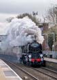 Photograph of BRAUNTON - 34046 BRAUNTON at Whitchurch on 28/11/23