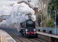 Photograph of BRAUNTON - 34046 BRAUNTON at Whitchurch on 28/11/23