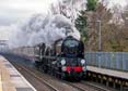 Photograph of BRAUNTON - 34046 BRAUNTON at Whitchurch on 28/11/23