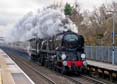 Photograph of BRAUNTON - 34046 BRAUNTON at Whitchurch on 28/11/23