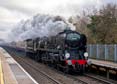 Photograph of BRAUNTON - 34046 BRAUNTON at Whitchurch on 28/11/23