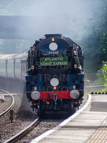 See large image