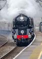 Photograph of CLAN LINE - 35028 CLAN LINE at Whitchurch on 27/04/24