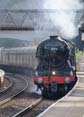 Photograph of FLYING SCOTSMAN - 60103 FLYING SCOTSMAN at Whitchurch on 21/09/21
