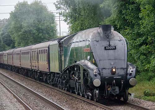 See large image