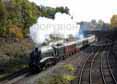 Photograph of BITTERN - 60019 BITTERN at Wilton on 30/10/10