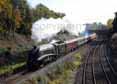 Photograph of BITTERN - 60019 BITTERN at Wilton on 30/10/10