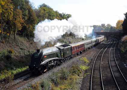 Purchase photo of 60019 BITTERN at Wilton