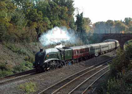 Purchase photo of 60019 BITTERN at Wilton