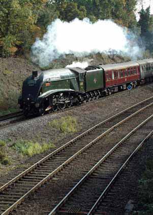 Purchase photo of 60019 BITTERN at Wilton