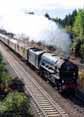 Photograph of TORNADO - 60163 TORNADO at Wilton on 07/09/13
