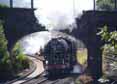 Photograph of TORNADO - 60163 TORNADO at Wilton on 07/09/13
