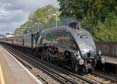 Photograph of UNION OF SOUTH AFRICA - 60009 UNION OF SOUTH AFRICA at Winchester on 12/09/19