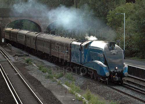 See large image