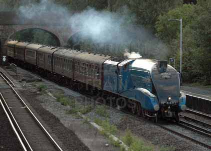 Purchase photo of 4492 DOMINION OF NEW ZEALAND (BITTERN) at Winchfield