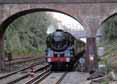 Photograph of OLIVER CROMWELL - 70013 OLIVER CROMWELL at Winchfield on 06/08/14
