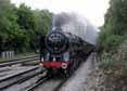 Photograph of OLIVER CROMWELL - 70013 OLIVER CROMWELL at Winchfield on 14/05/11